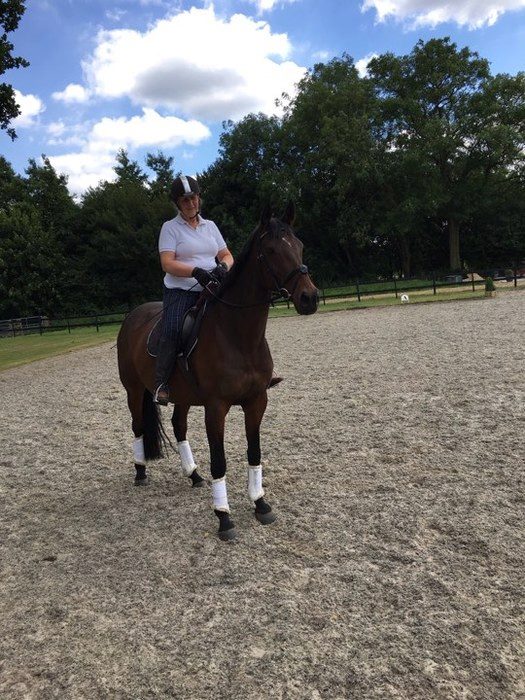 Sir P - From Racing To Dressage With Hack Up Bespoke